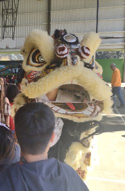 Chinese Lion facing forward